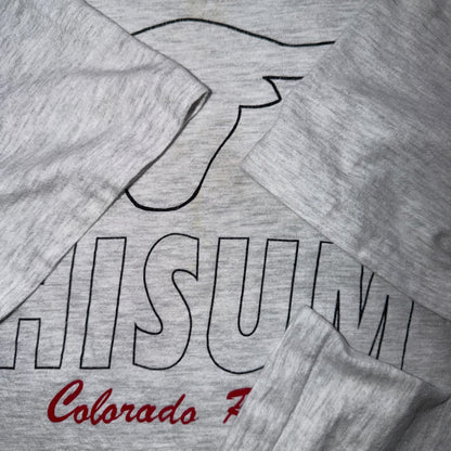 VTG 1993 Chisum Colorado Roundup T Shirt Hanes Beefy Longhorn Western Cowboy