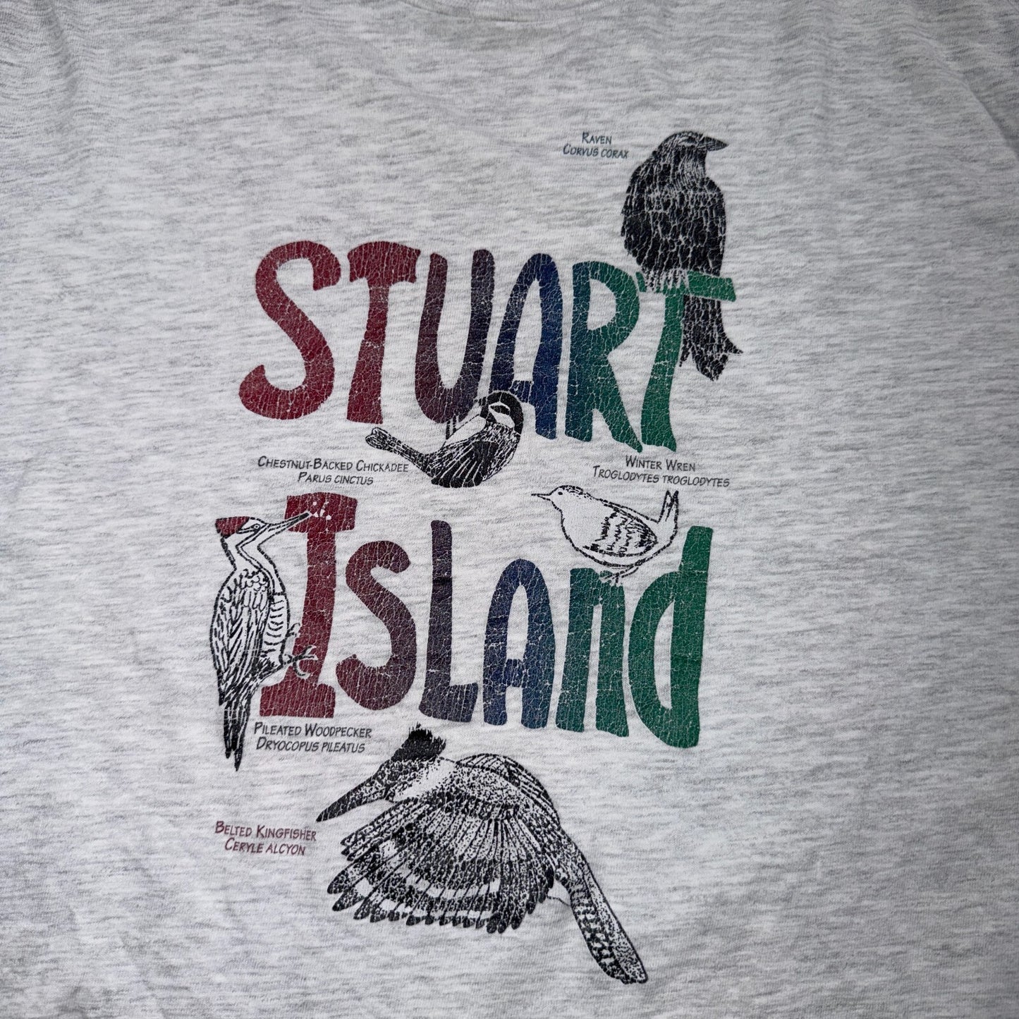 Vintage Stuart Island Washington T Shirt Bird Wildlife Nature Graphic Tee 90s