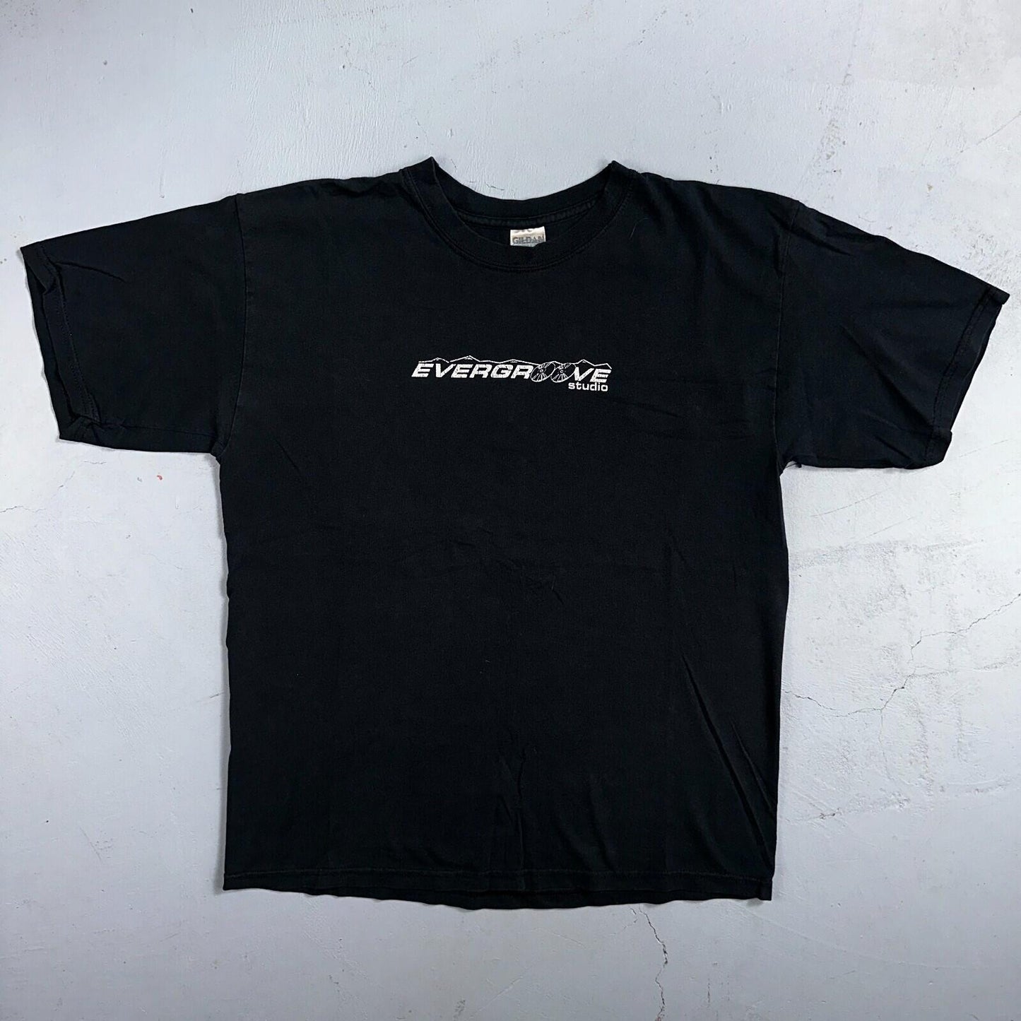 Evergroove Studios Rare Y2K VTG T Shirt Colorado Music Band Production Grammy