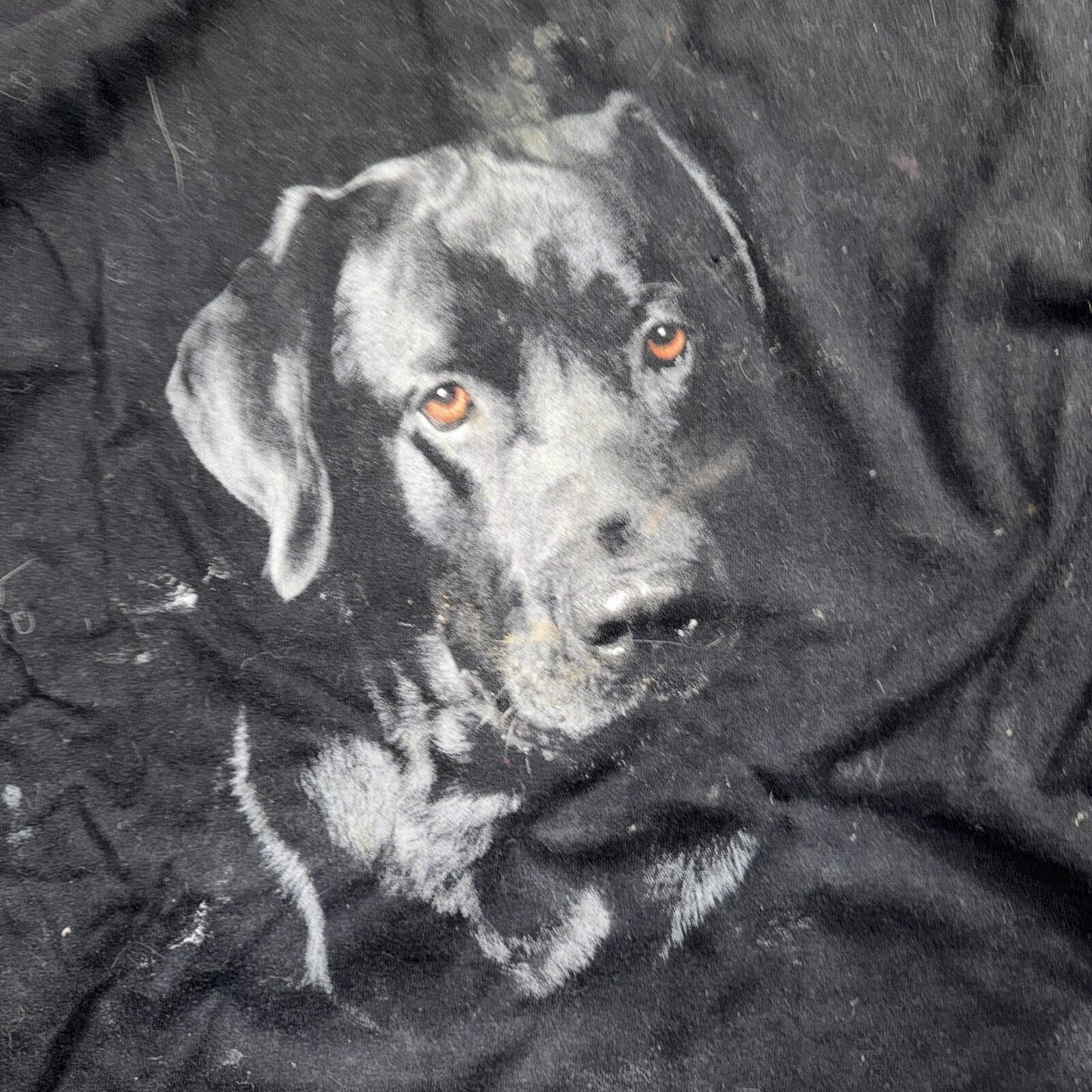Black Lab Dog VTG T Shirt Art Photograph Animals Grunge Music Ducks Graphic
